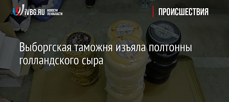 Выборгская таможня изъяла полтонны голландского сыра