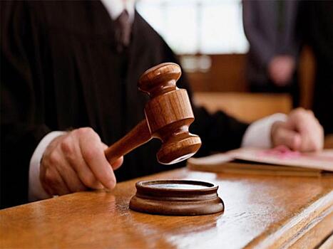 Суд приговорил хабаровских живодерок к реальным срокам заключения