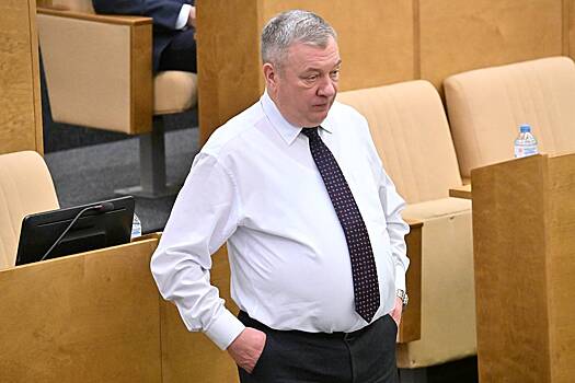 Фото владимира федоренко риа новости дума