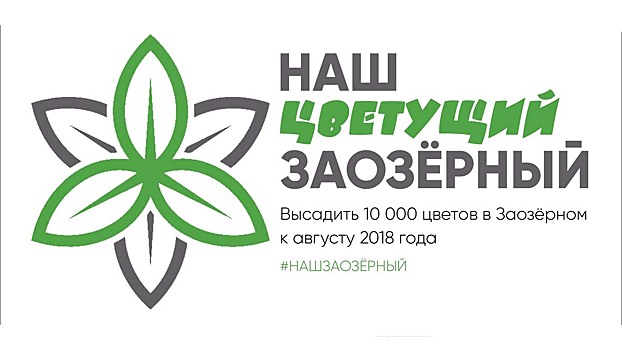 В Заозёрном районе Кургана хотят высадить 10 000 цветов