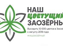 В Заозёрном районе Кургана хотят высадить 10 000 цветов