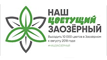 В Заозёрном районе Кургана хотят высадить 10 000 цветов