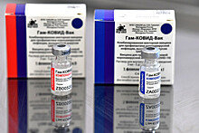 Жители Сербии получат российскую вакцину от коронавируса после Нового года 