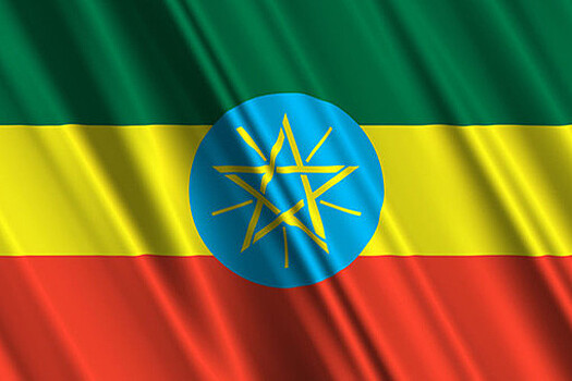 Посол Чам Угала Урят: Эфиопия планирует наладить прямой экспорт товаров в РФ