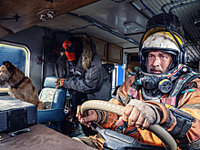 Пес с тобой. В прокат выходит «Финч» с Томом Хэнксом. Почему это лучшая фантастика осени?