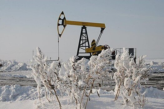 Битва за Арктику: разные перспективы проектов "Новатэка" и "Роснефти"