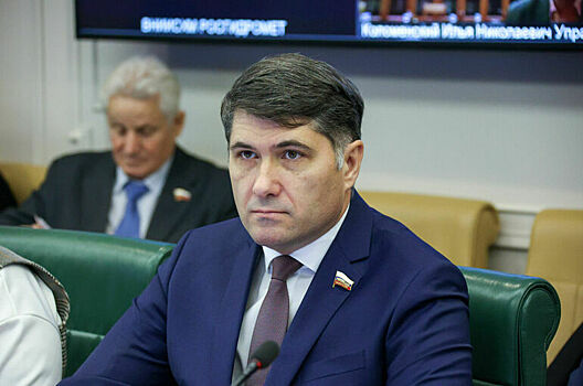 Сенатор Пушкарев связал спрос на посуточное жилье с увеличением интереса к туризму