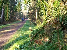 Роспотребнадзор подготовил рекомендации, чтобы затяжные праздники были без последствий