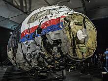 Лавров назвал главную причину публикации выводов по крушению малайзийского Boeing