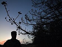 Рогов сообщил о переходе двух офицеров ВСУ на сторону России