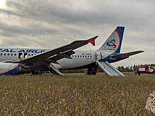 Следователи дали оценку правилам работы «Уральских авиалиний»