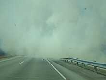 В Новосибирской области из-за поджогов травы возникли лесные пожары