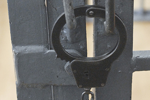 В российском городе управляющего директора института арестовали за крупное мошенничество