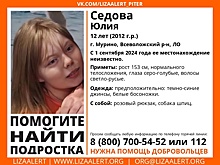 В Ленобласти 12-летняя девочка вышла погулять с собакой и больше не вернулась