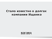 Кандидат в губернаторы Ищенко оказался погрязшим в долгах бизнесменом
