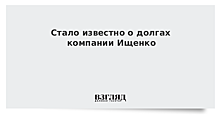 Кандидат в губернаторы Ищенко оказался погрязшим в долгах бизнесменом