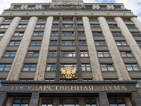 В Госдуме опровергли информацию о запрете соцсетей для детей