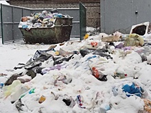 Красноярцы переплатили более 250 тыс рублей за вывоз несуществующего мусора