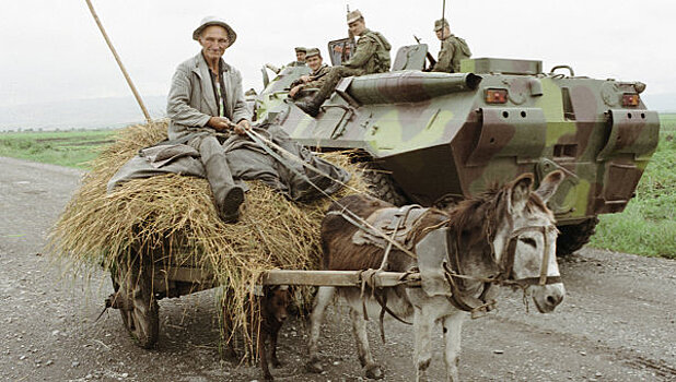 В «правах» введут категорию «водитель кобылы»