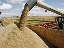 Совдир "Русагро" рекомендовал финальные дивиденды за 2019 год в размере 2,85 млрд рублей