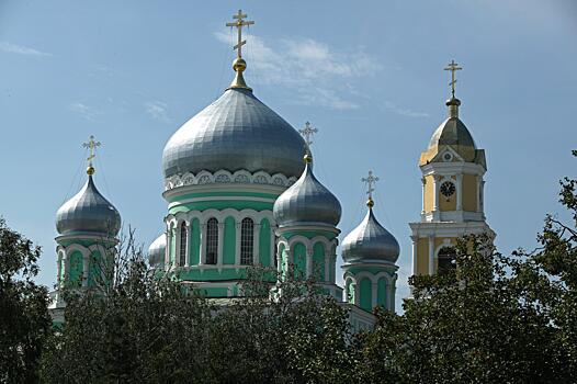 Житель Приморья познакомился с общительной белухой