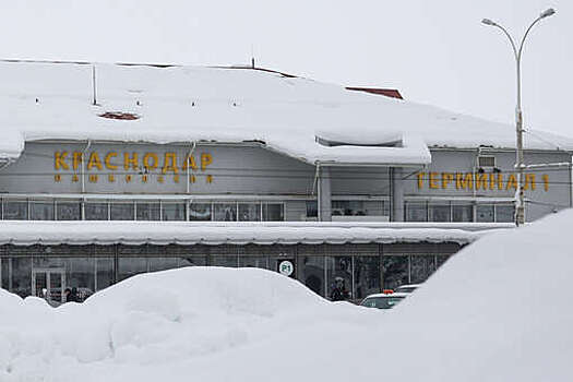 Аэропорт Краснодара проверит все службы перед открытием