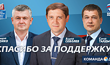Сразу трое кандидатов в депутаты от ДСК победили на выборах в Воронеже
