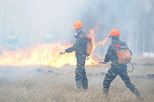 В России сгорело рекордное количество леса за десять лет