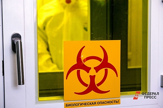 В доставленных летчикам Армавира торте и виски подтвердили наличие яда