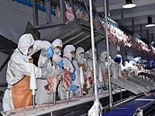 Компанию Ванеева &laquo;Урсдон&raquo; из Усть-Донецка выставили на продажу за 607 млн рублей