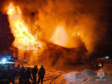 Два человека погибли при пожарах в Новосибирской области за неделю