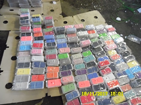 В Кургане таможня отдала в Росимущество более 1000 контрафактных чехлов для iPhone