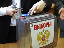В Подмосковье завершилось голосование на муниципальных выборах