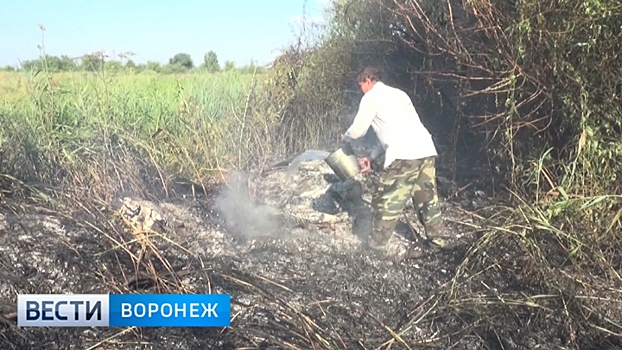 В Бутурлиновке ландшафтный пожар вплотную подобрался к жилым домам