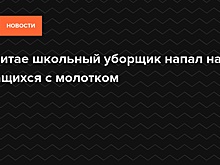 В Пекине мужчина напал на детей в школе