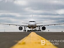 Лоукостер "Победа" разрешил перевозить питомцев в салоне самолета