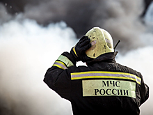 Лесной пожар в Самарской области локализован