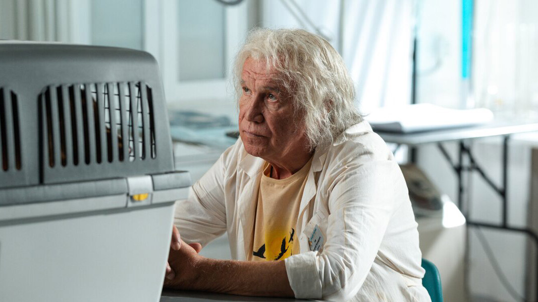 Гармаш спасает животных, а Иван-царевич спасает Василису: главные новости недели