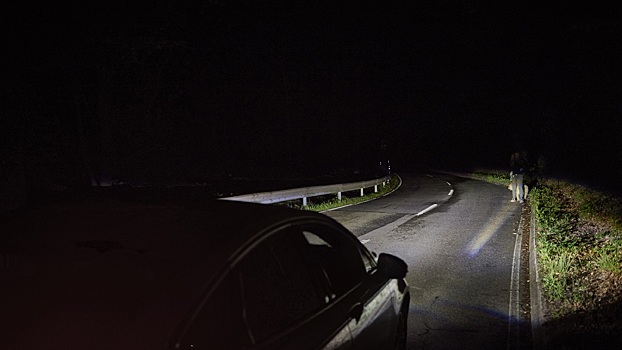 Ночное ДТП: водитель «Мерседеса» сбил лося и покалечил друга