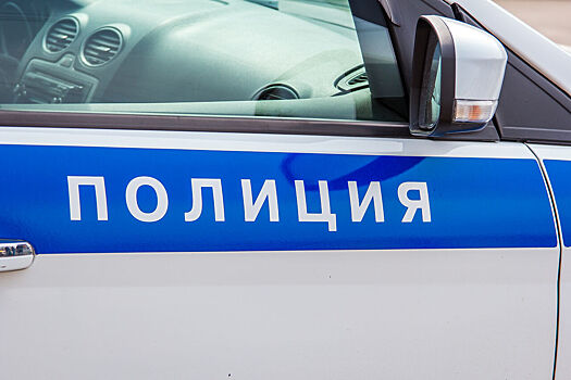 Полиция заподозрила жителя Санкт-Петербурга в домогательствах к ребенку