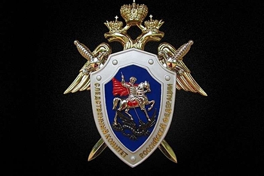 Обвинённые во взятке сотрудники СК в суде. Защита привлекает лжесвидетеля?