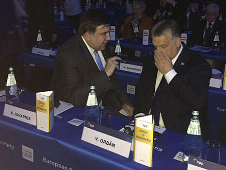 Дипломаты объяснили, почему Саакашвили уселся рядом с Порошенко