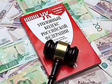 На Камчатке женщина год незаконно получала пособия на детей