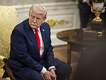 Bloomberg: состояние Трампа и его семьи за 15 месяцев выросло примерно на 70%