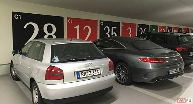 Московский паркинг будет опекать самку крокодила