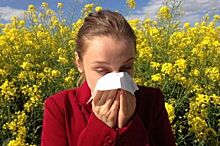 Как понять, что у вас аллергия на пыльцу