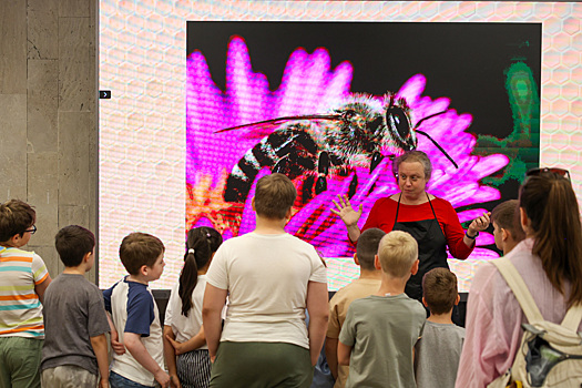 На ВДНХ прошел экологический фестиваль «БукашкиФест»