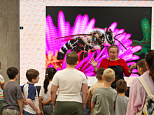 На ВДНХ прошел экологический фестиваль «БукашкиФест»