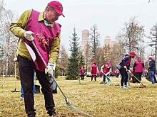Челябинскую Аллею финансистов привели в порядок