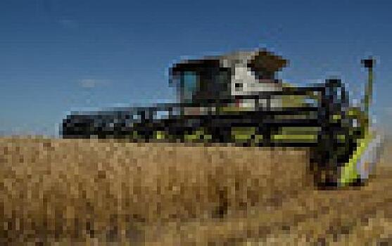 Аграрии Липецкой области собрали более 3 млн тонн зерновых